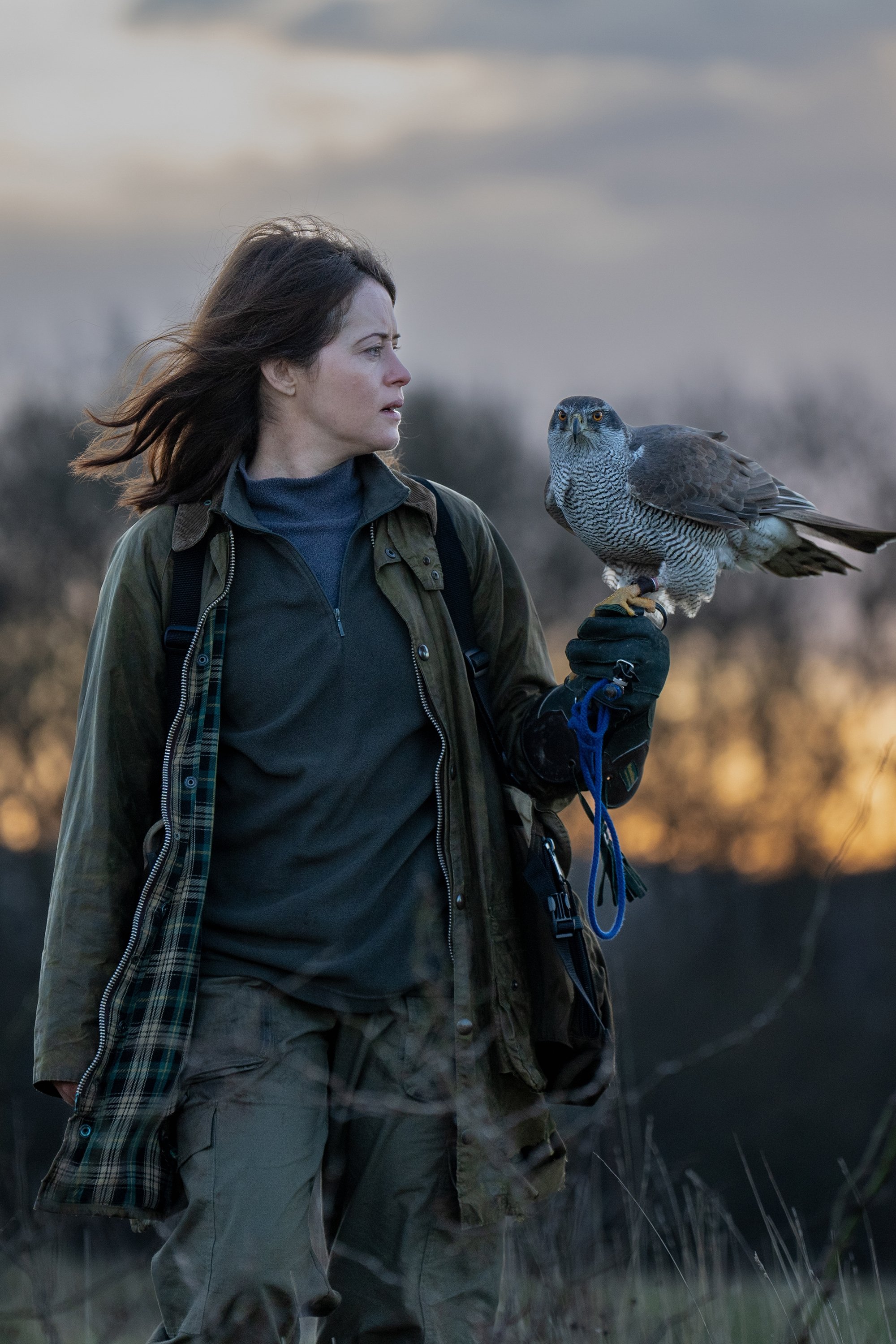 H Is for Hawk
