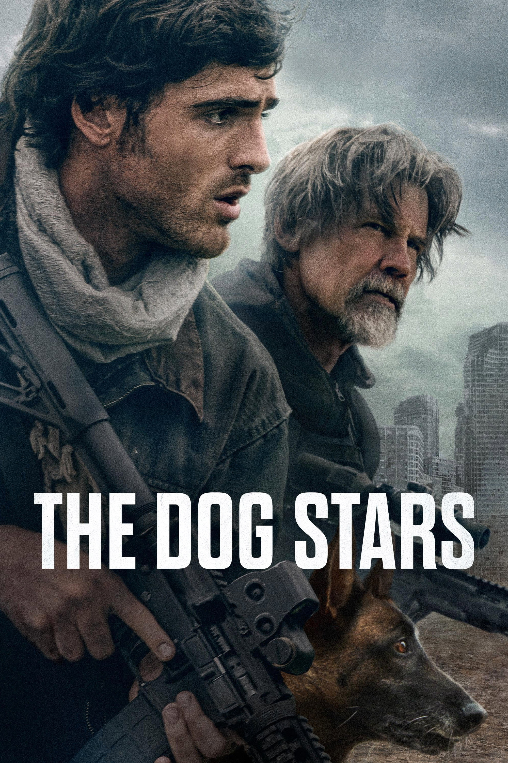 Le chien vedette