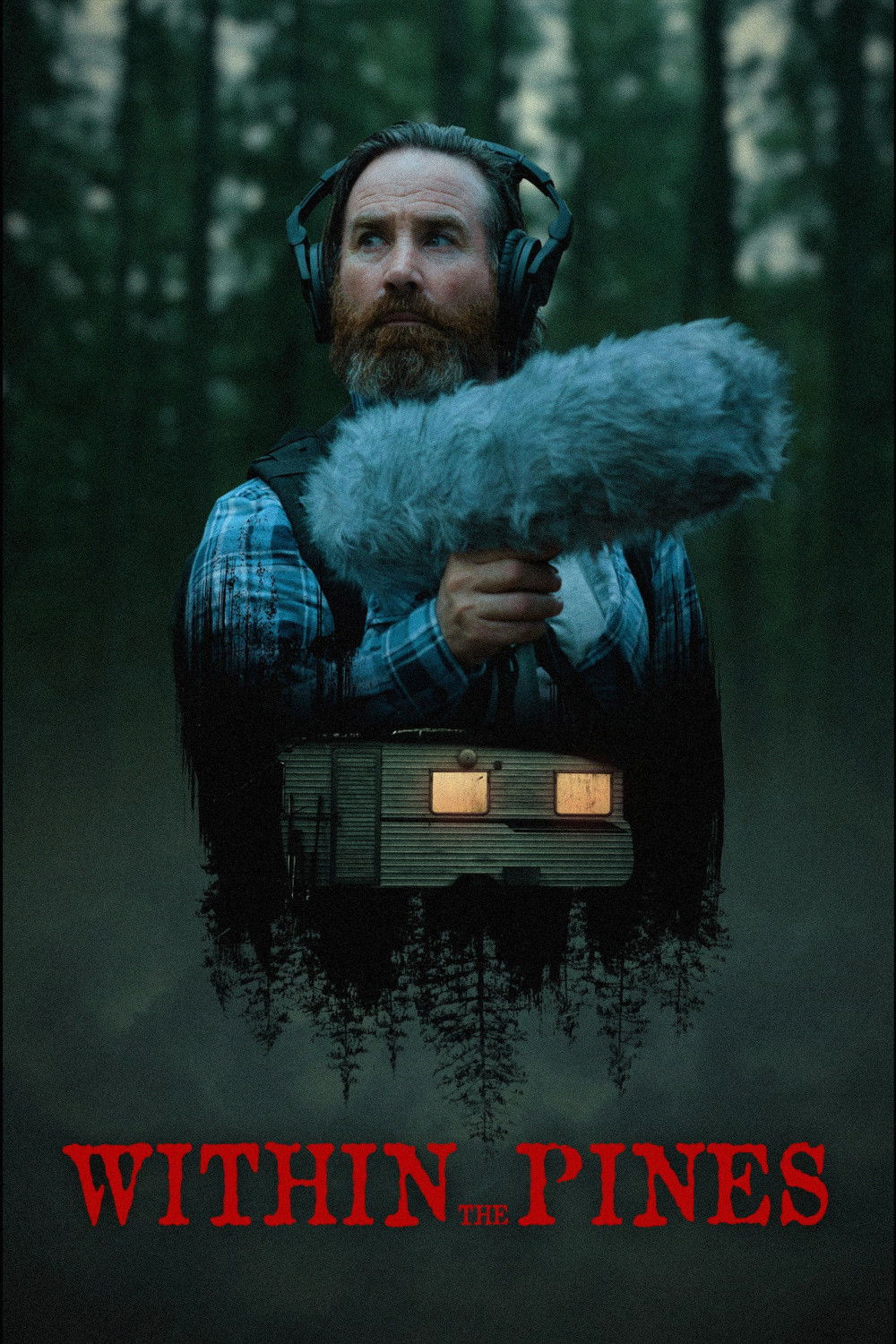 Within the Pines