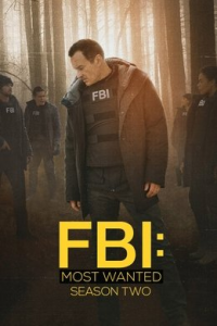 voir Most Wanted Criminals Saison 2 en streaming 