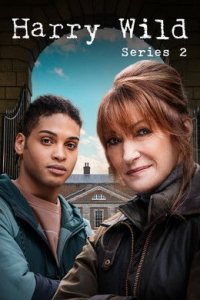 voir Harry Wild Saison 2 en streaming 