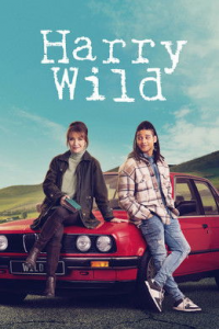 voir Harry Wild Saison 3 en streaming 