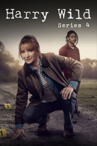 voir Harry Wild Saison 4 en streaming 