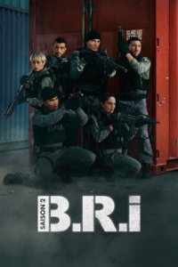 voir B.R.I. Saison 2 en streaming 