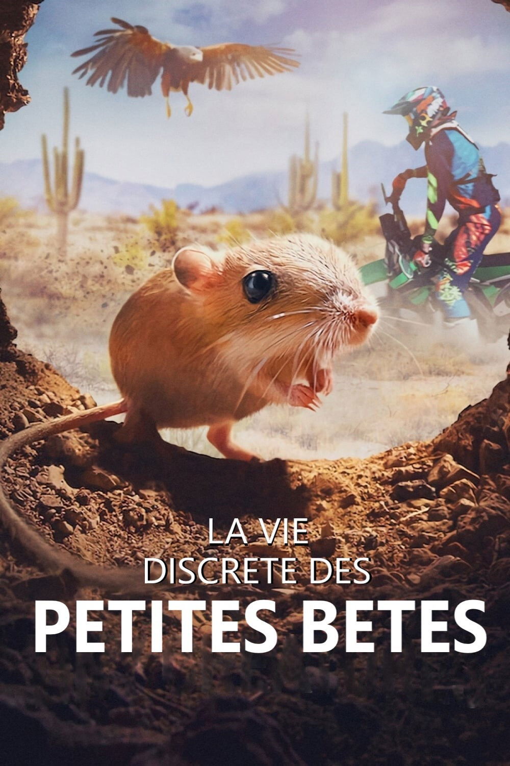 voir La vie discrète des petites bêtes saison 1 épisode 1