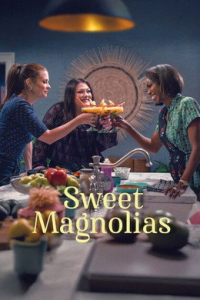 voir A l'ombre des magnolias Saison 4 en streaming 