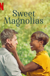 voir A l'ombre des magnolias Saison 5 en streaming 