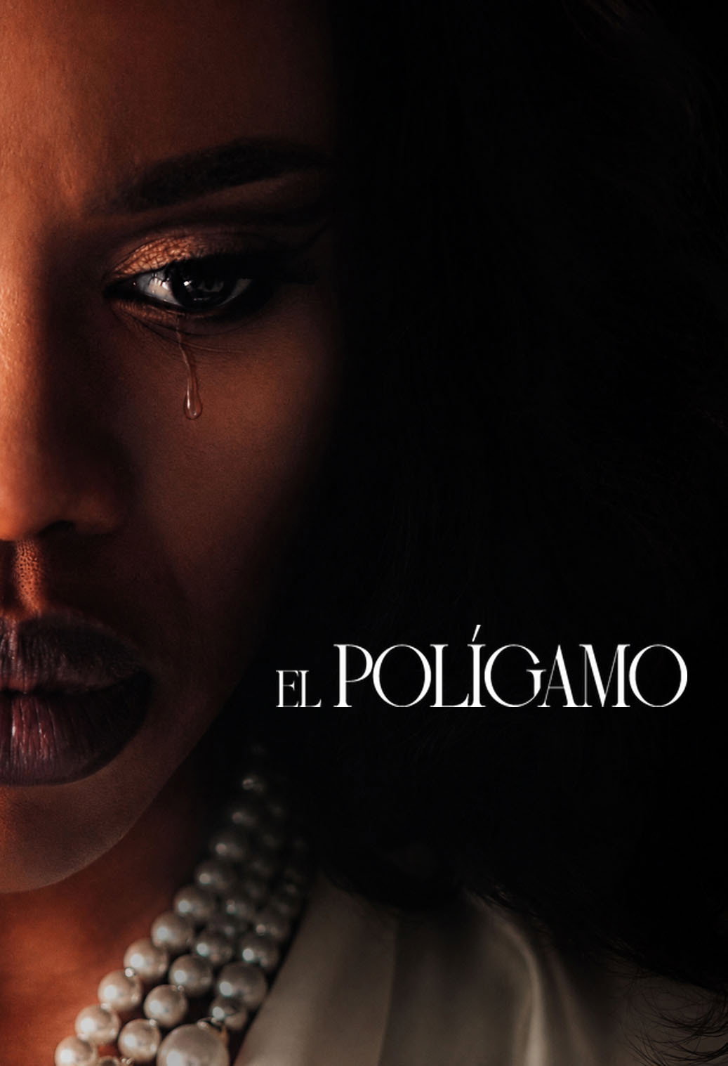 Affiche de la série The Polygamist